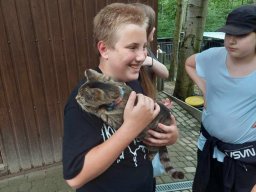 4480042729230290729583757465717256685710144n